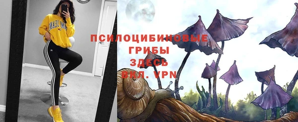 мдма Козловка